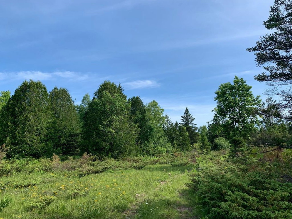 Gordons Park | 18777 ON-6, Tehkummah, ON P0P 2C0, Canada | Phone: (705) 859-2470