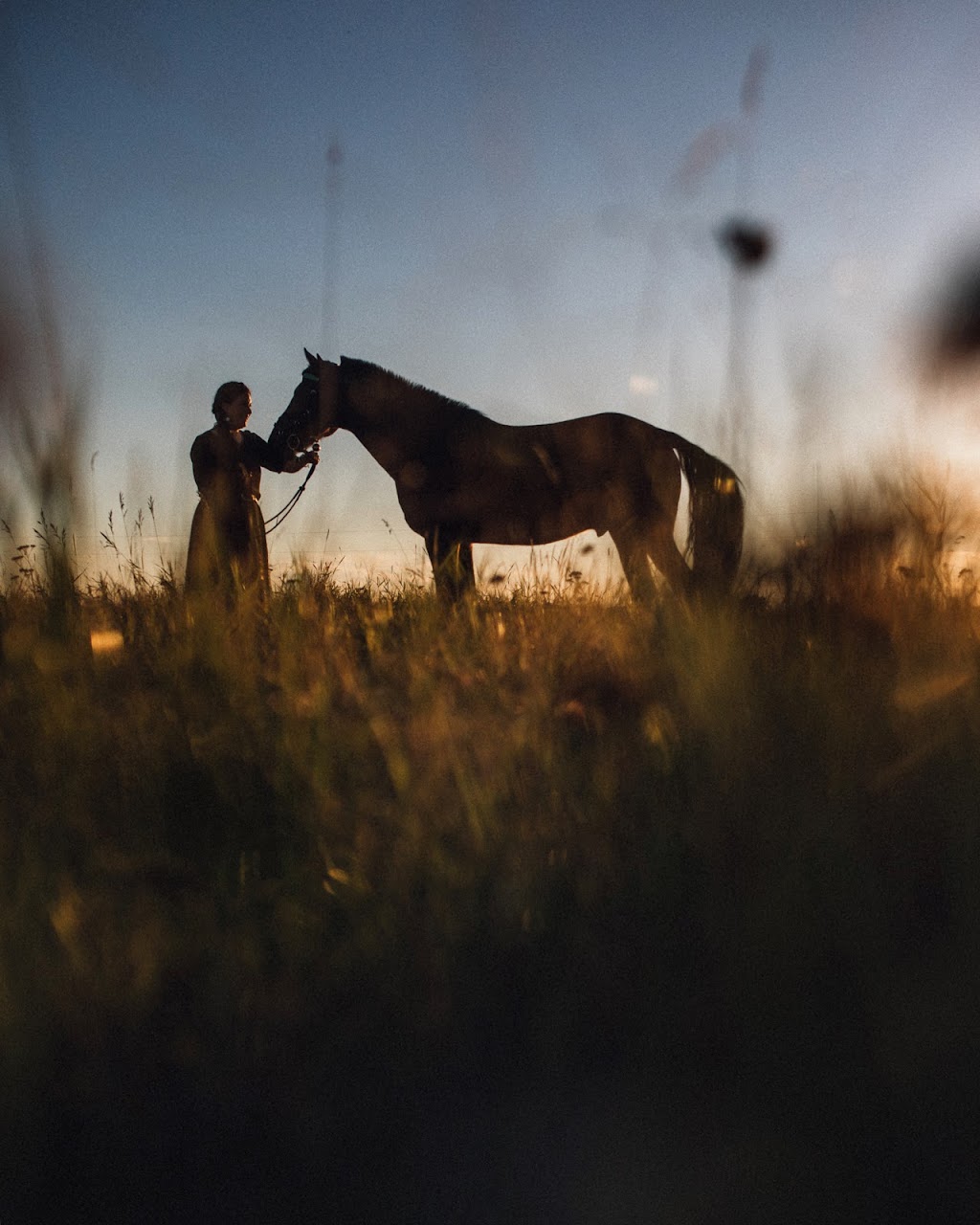 The Yeg Equestrian | 13007 208 St NW, Edmonton, AB T5V 1T8, Canada | Phone: (780) 863-5599
