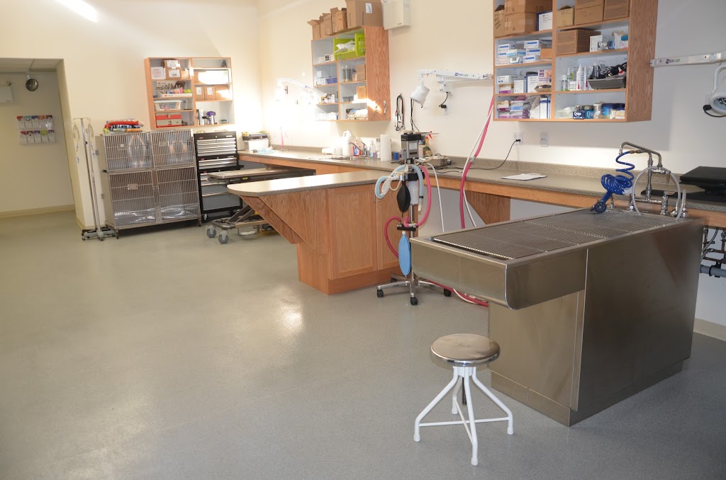 Annapolis Animal Hospital Ltd | 8902 Commercial St, New Minas, NS B4N 3C8, Canada | Phone: (902) 681-8387
