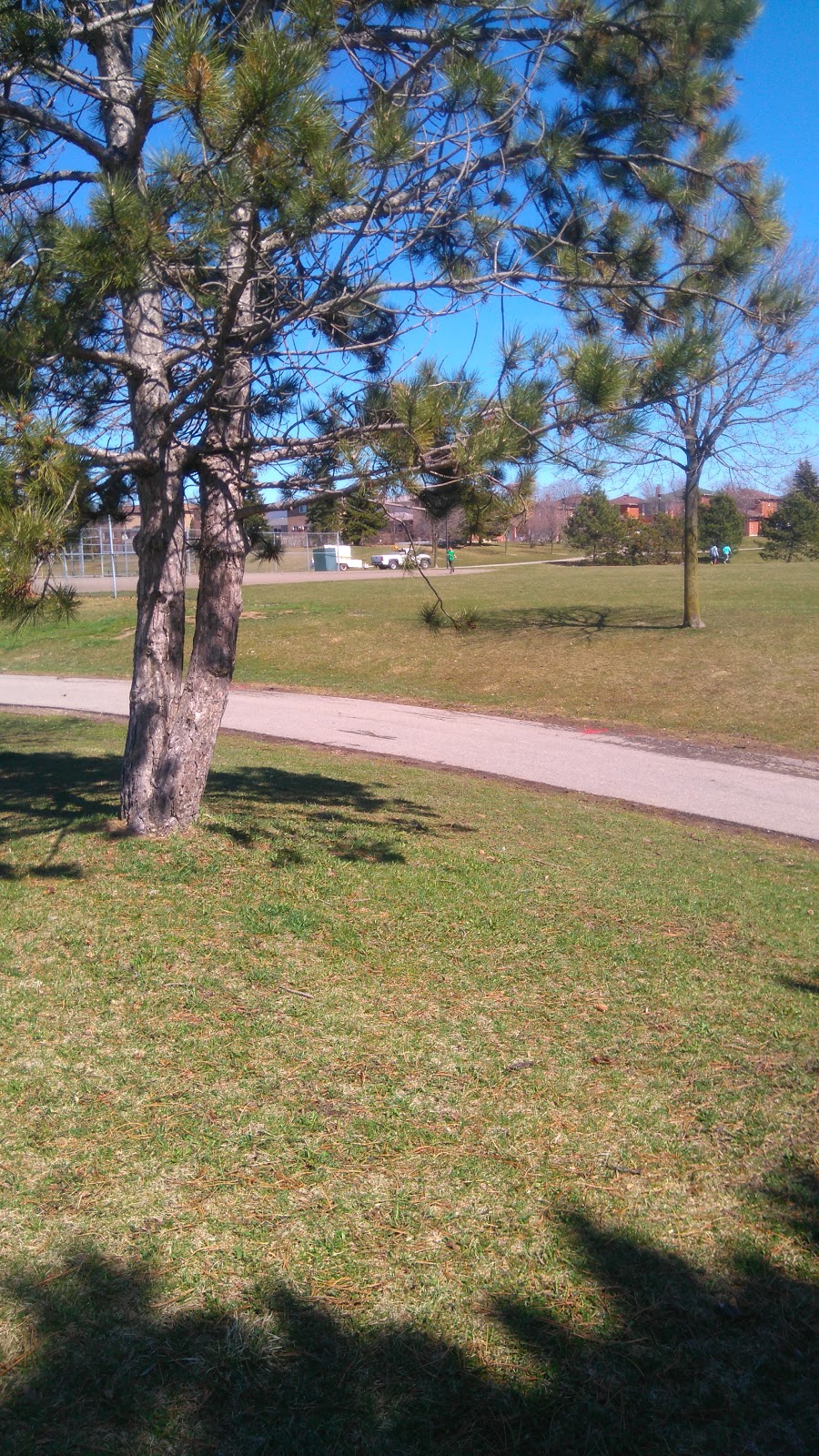 Swinbourne Meadows | 1129 Swinbourne Dr, Mississauga, ON L5V 1B9, Canada