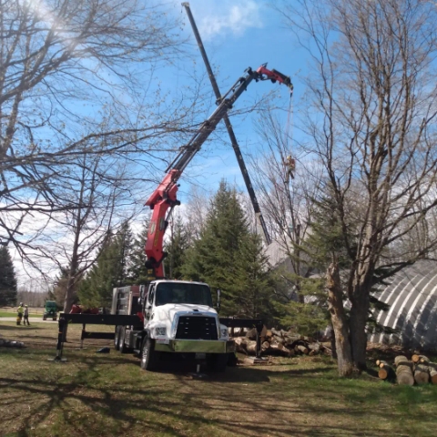 Davez Tree Service | 45 Cedar St, Collingwood, ON L9Y 3A4, Canada | Phone: (705) 606-6860