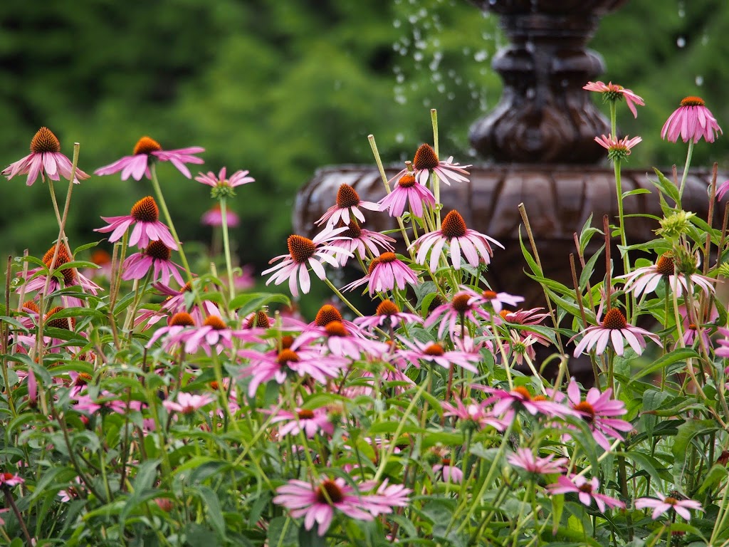 Tuscan Farm Gardens | 6834 Mount Lehman Rd, Abbotsford, BC V4X 2G5, Canada | Phone: (604) 857-1998