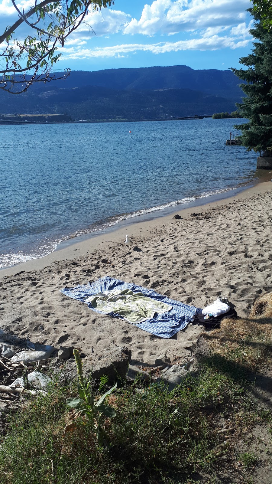 Royal Avenue Beach Access Park | 221 Royal Ave, Kelowna, BC V1Y, Canada