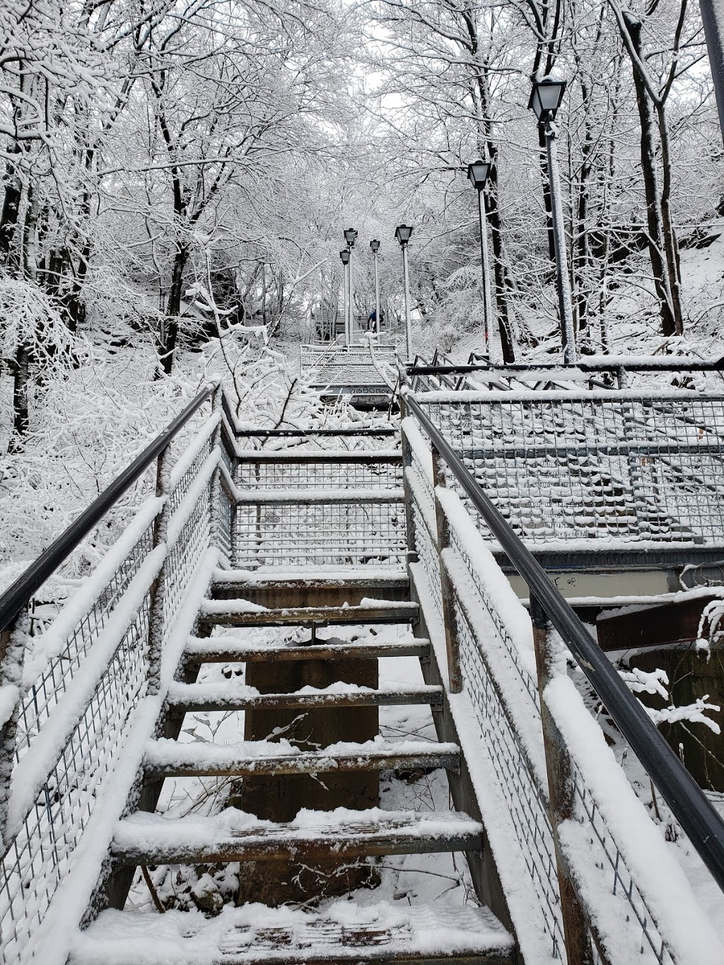 Wentworth stairs | Wentworth St S, Hamilton, ON L8N, Canada
