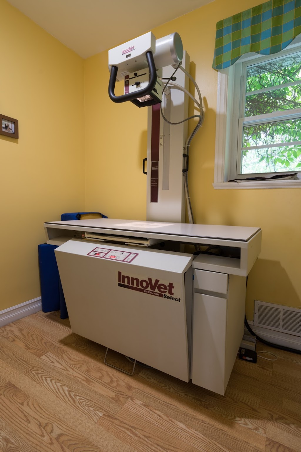 Clinique Veterinaire Fontaine | 495 Boulevard dIberville, Saint-Jean-sur-Richelieu, QC J2X 3Y8, Canada | Phone: (450) 347-5964