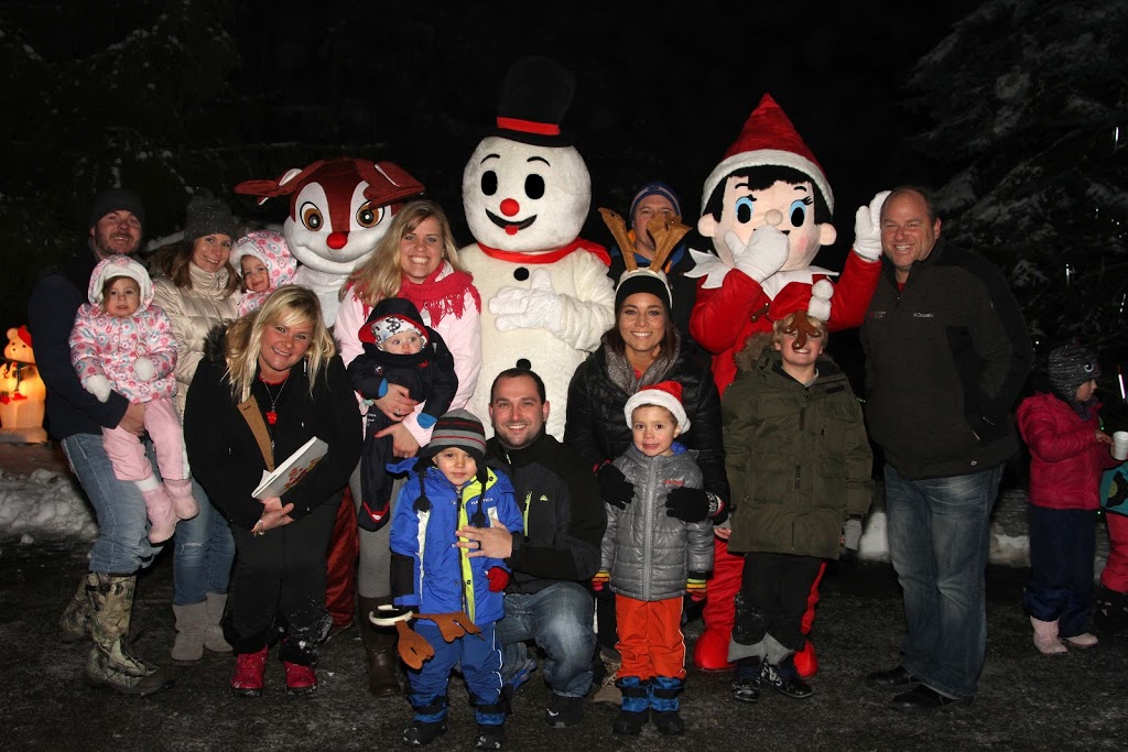 Hollands Holiday Lights | 8590 Phillips Rd, Holland, NY 14080, USA