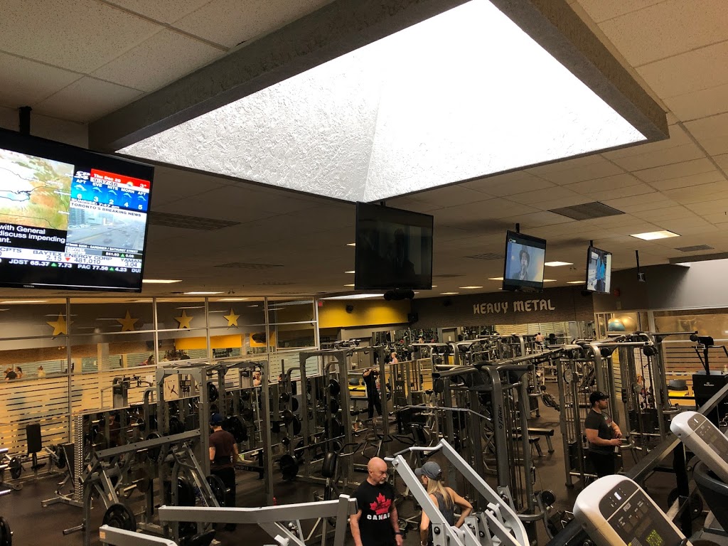5 Star Fitness & Nutrition Centre | 1215 Stone Church Rd E, Hamilton, ON L8W 2C6, Canada | Phone: (905) 318-2447