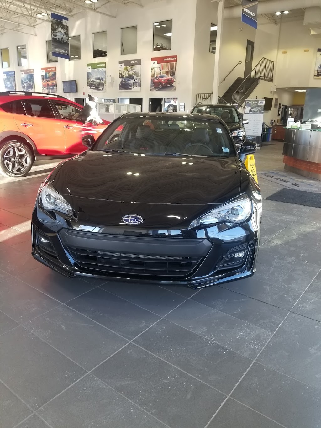 Steele Subaru | 3737 Kempt Rd, Halifax, NS B3K 4X6, Canada | Phone: (902) 407-8707