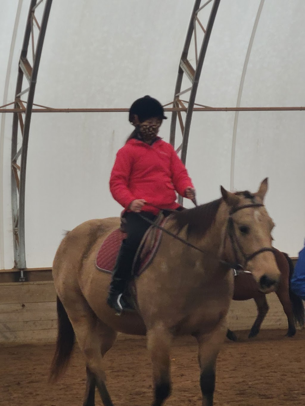 DreamCatcher Farm | 3185 McGarvey Rd, Inverary, ON K0H 1X0, Canada | Phone: (613) 353-9004