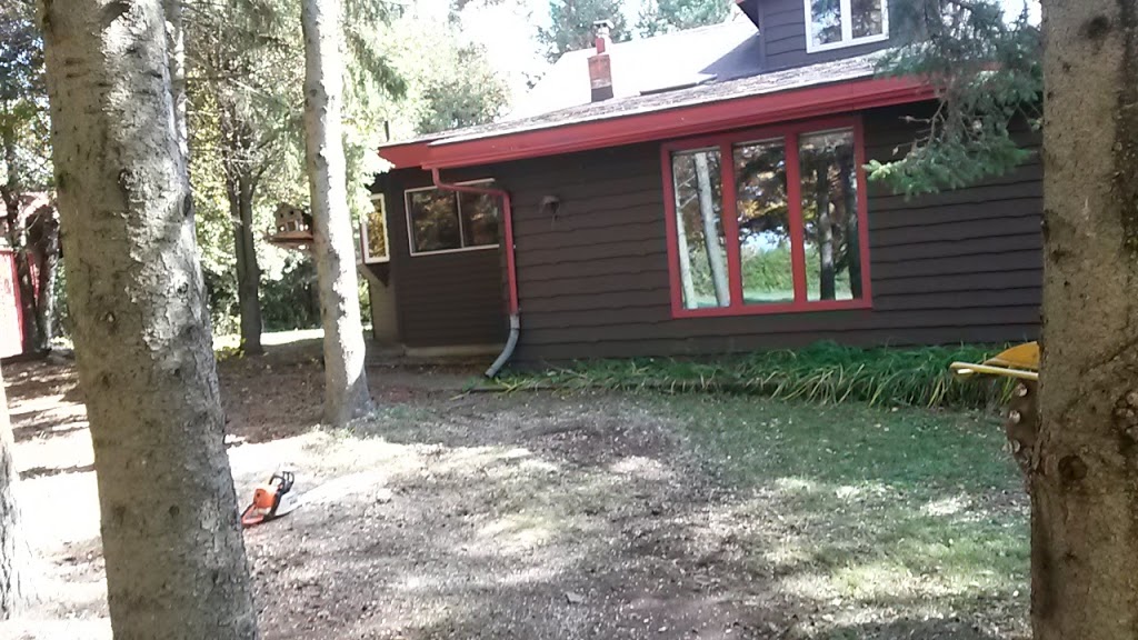AJL Tree Service | 1891 Bowmanton Rd #2, Roseneath, ON K0K 2X0, Canada | Phone: (289) 829-1151