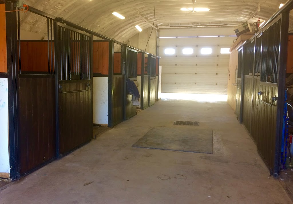 Riley Ridge Stables | 280058 Range Road 23, Site 1 Box 59, Madden, AB T4B 2A3, Canada | Phone: (403) 519-1907