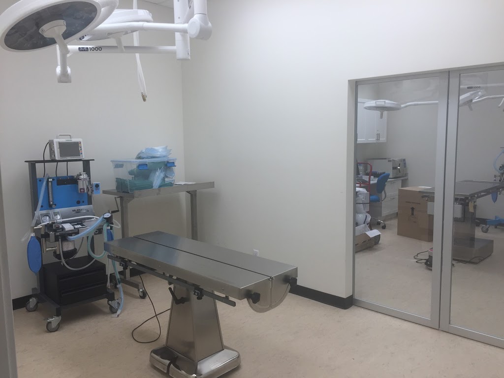 Millstream Veterinary Hospital | 169-2401C Millstream Rd, Victoria, BC V9B 3R5, Canada | Phone: (778) 430-8387