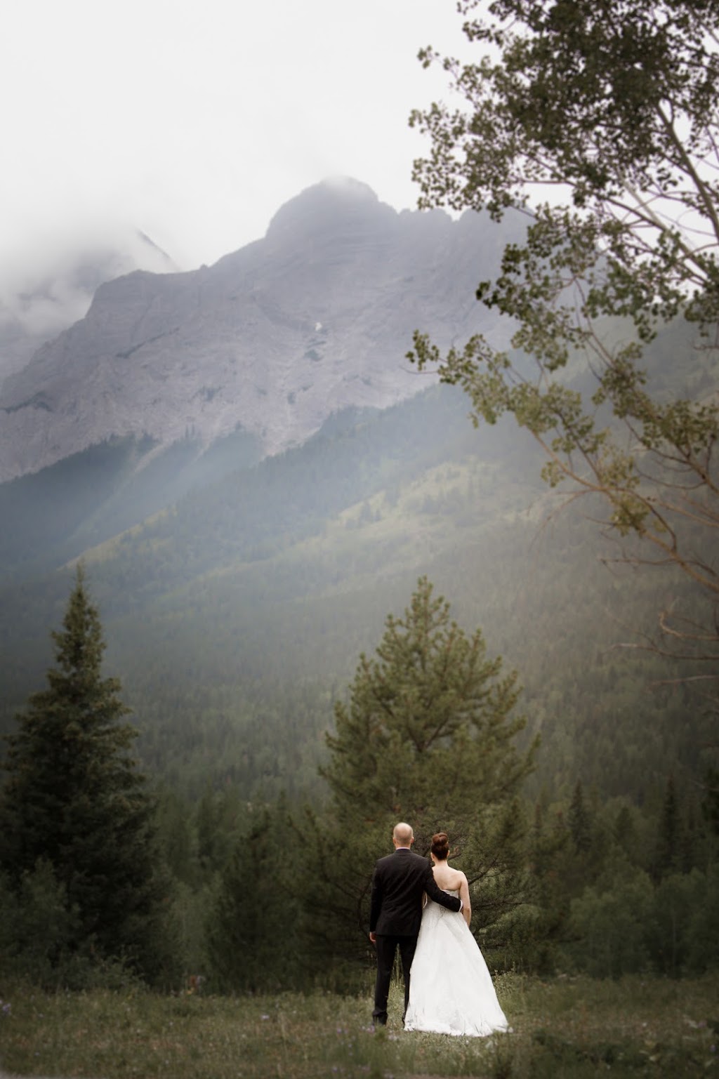 Colleen’s Photos Canmore | 216 Three Sisters Dr #23, Canmore, AB T1W 2M2, Canada | Phone: (403) 812-0594