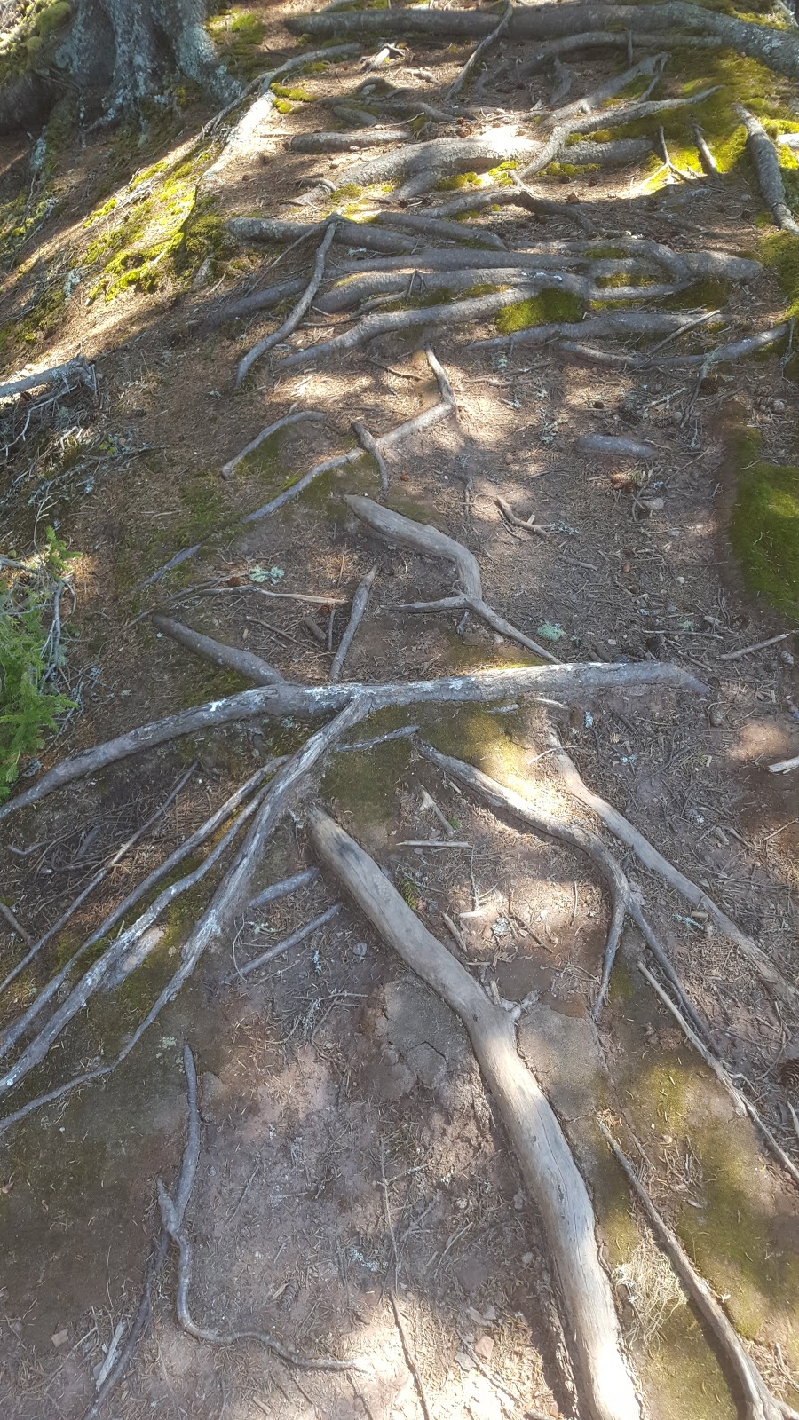 Chignecto National Wildlife Area | 930 Southampton Rd, Amherst, NS B4H 3Y4, Canada | Phone: (902) 426-1900