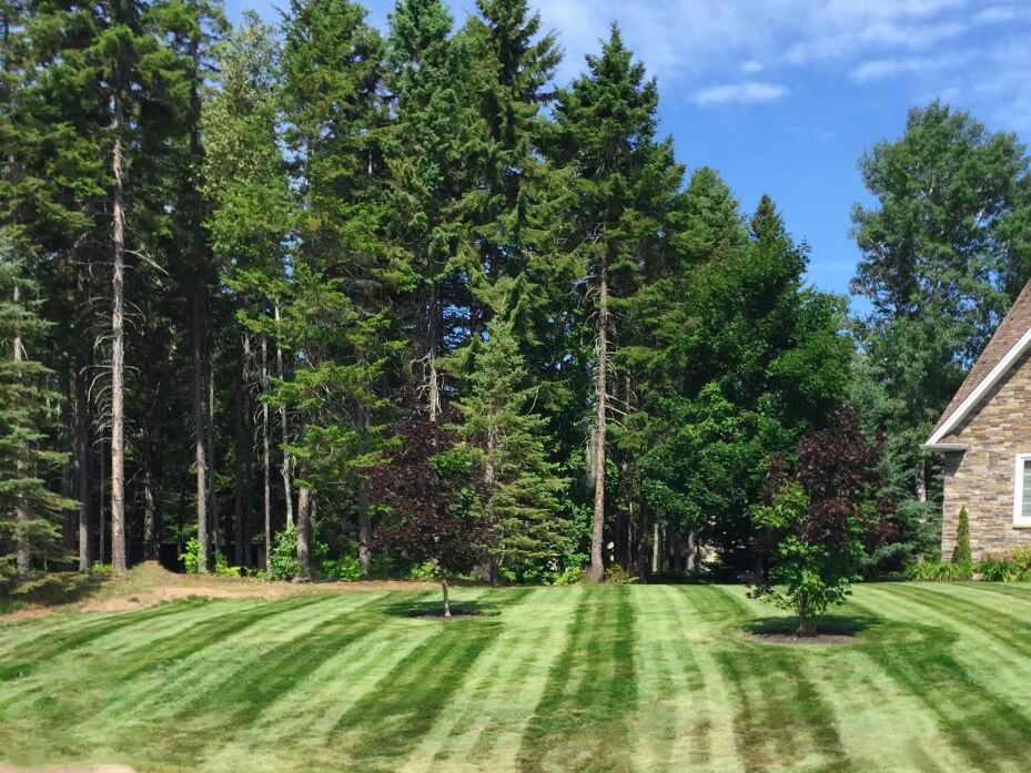 Eco Scape Inc. | 2185 Champlain St, Dieppe, NB E1A 7J4, Canada | Phone: (506) 853-7669