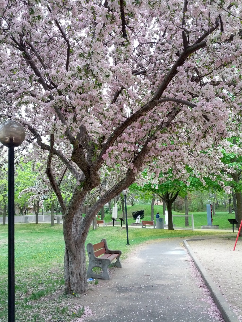 Parc Rembrandt | Avenue Rembrandt, Côte Saint-Luc, QC H4W, Canada | Phone: (514) 872-0311
