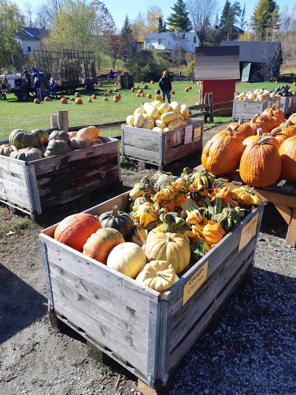 Plantations Stéphan Perreault | 331 QC-143, Val-Joli, QC J1S 0C1, Canada | Phone: (819) 845-1160