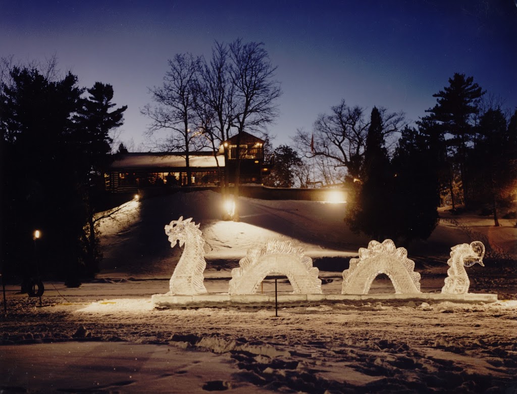 Iceculture Inc | 81 Brock St, Hensall, ON N0M 1X0, Canada | Phone: (519) 262-3500