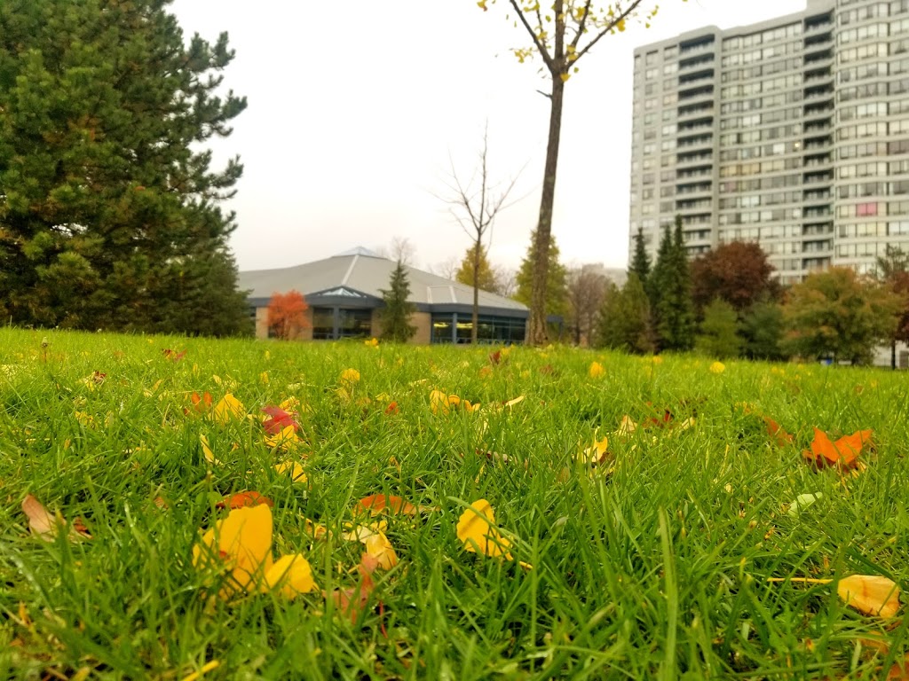 Goldhawk Park | 250 Goldhawk Trail, Scarborough, ON M1V 3W8, Canada | Phone: (416) 396-8964