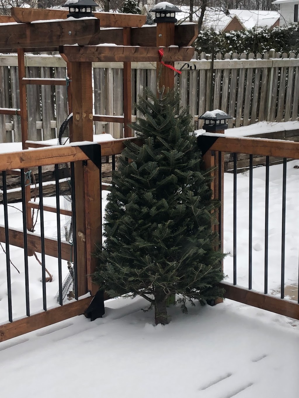 St-Denis Christmas Trees | 3079 Navan Rd, Orléans, ON K1C 7G4, Canada | Phone: (613) 979-1691