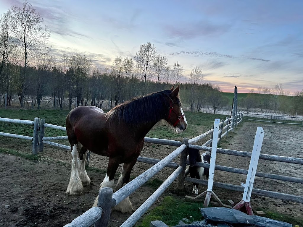 Ther-Hart Ranch | 2050 Chem. Lagueux, Stanstead, QC J0B 3E1, Canada | Phone: (819) 238-4701