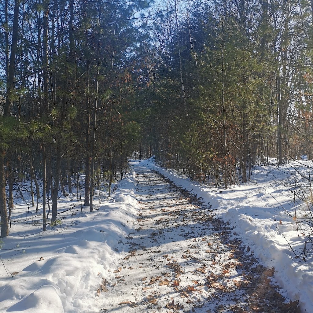 Golf Continental | 1567 Chem. des Patriotes, Sainte-Victoire-de-Sorel, QC J0G 1T0, Canada | Phone: (450) 743-2573