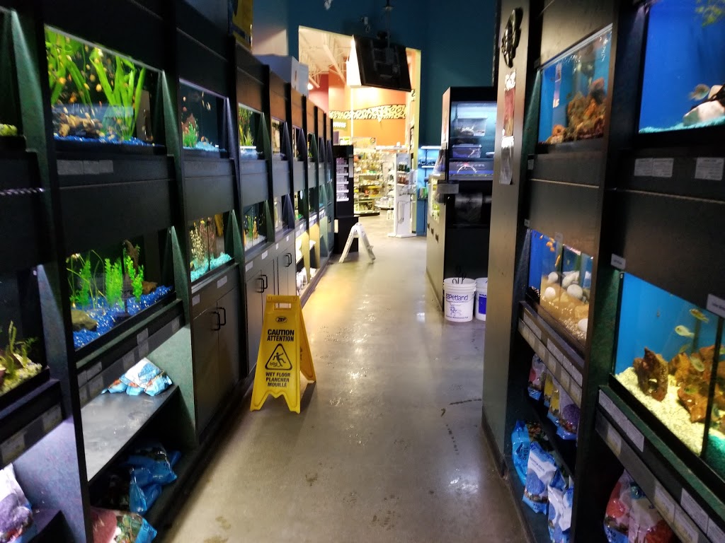 Petland | 3047 Clarence Ave S, Saskatoon, SK S7T 0B4, Canada | Phone: (306) 934-3920
