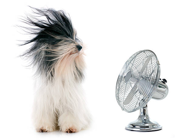 CLIMATSERVE INC | 1289 Mnt Léger, Les Cèdres, QC J7T 1E9, Canada | Phone: (514) 977-6100