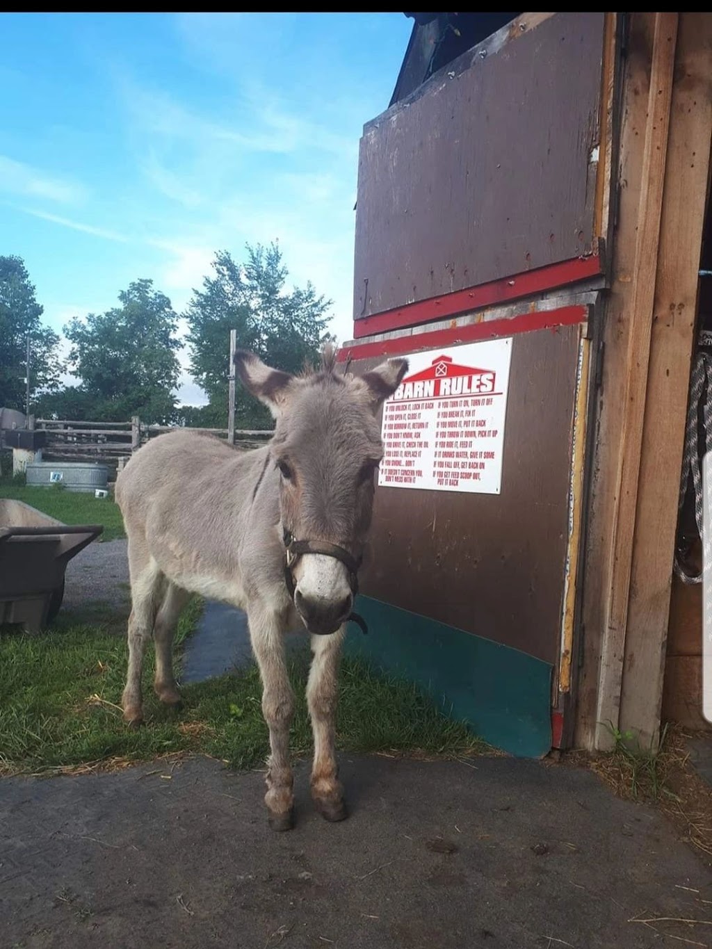 Pine Grove Farms | 315 Pine Grove Rd, Castleton, ON K0K 1M0, Canada | Phone: (905) 376-0829