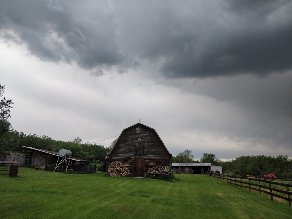 Woodlands Farm | 250133, 16 St W, De Winton, AB T0L 0X0, Canada | Phone: (519) 855-4915