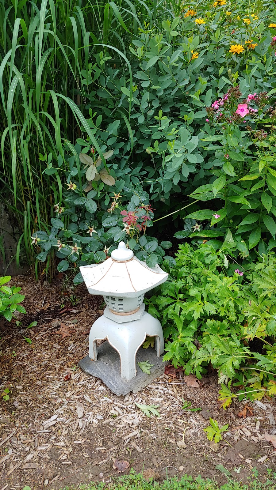 Fernands Perennial Garden | 480 QC-112, East Angus, QC J0B 1R0, Canada | Phone: (819) 832-2714