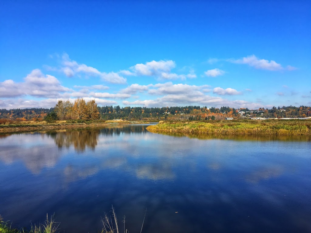 Serpentine Fen Observation Deck | 44 Ave, Surrey, BC V3S 0L2, Canada