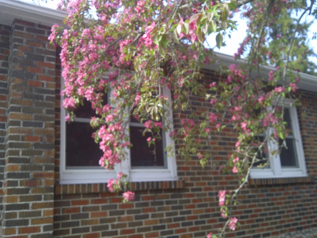 Susans Sanctuary Bed & Breakfast | 5016 Main St, Orono, ON L0B 1M0, Canada | Phone: (905) 983-9890