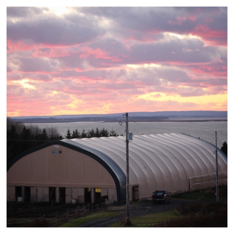 Tidal Treasures Stables | 5895 Highway 215, Kempt Shore, NS B0N 2K0, Canada | Phone: (902) 799-0827
