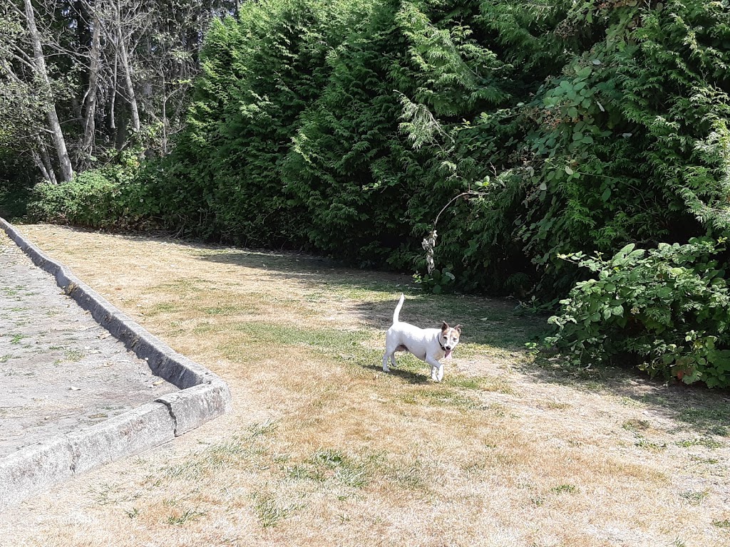 Bramble Park Off-Leash Area | 2641 David Ave, Coquitlam, BC V3E 2N5 David Ave, Coquitlam, BC V3E 2N5, Canada
