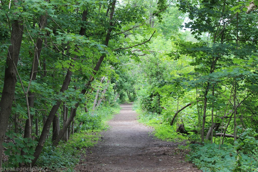 Credit Valley Conservation Authority | 1255 Old Derry Rd, Mississauga, ON L5N 6R4, Canada | Phone: (800) 668-5557