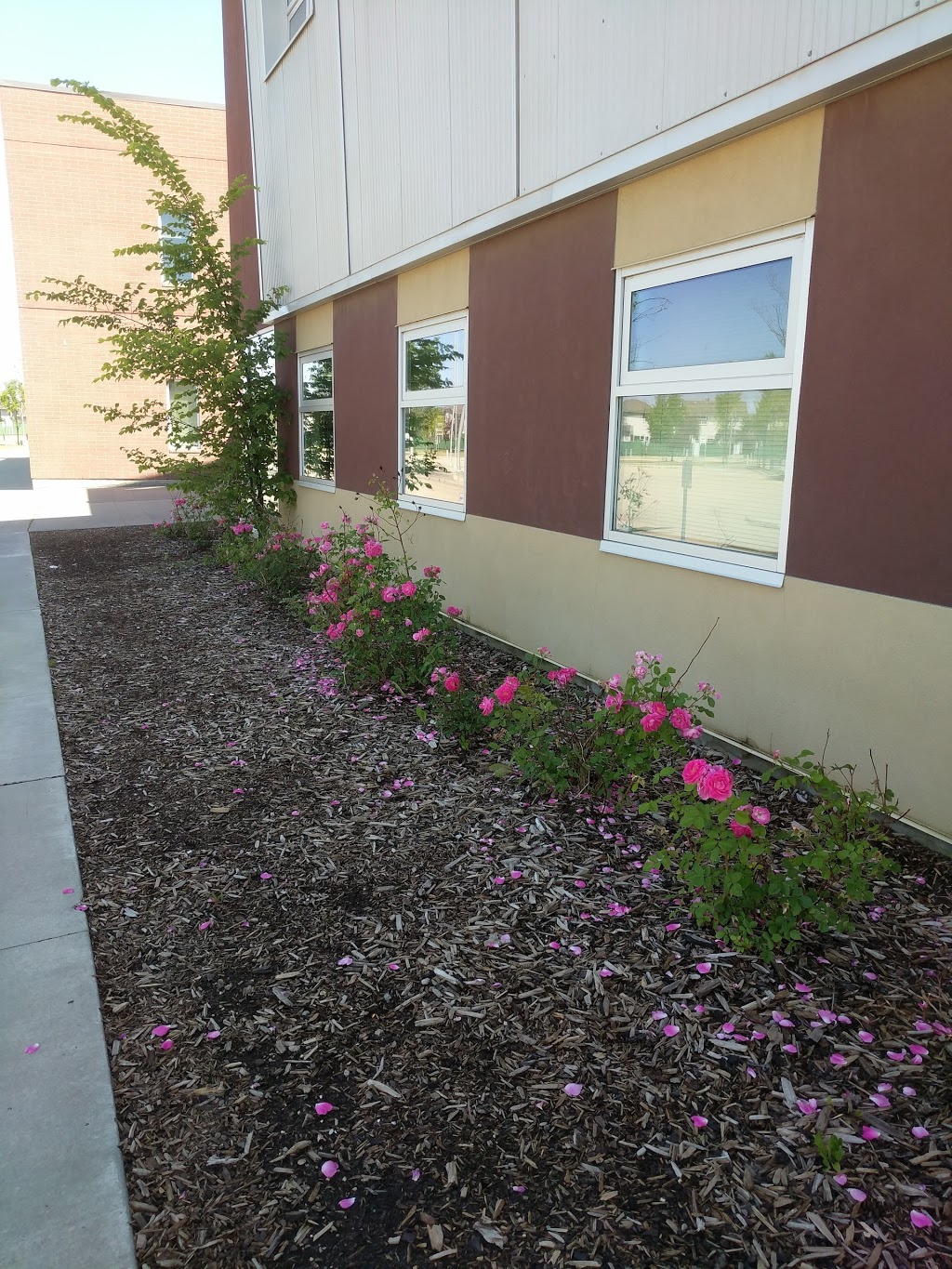 Holy Spirit Catholic School | 151 Crimson Dr, Sherwood Park, AB T8H 2R2, Canada | Phone: (780) 416-9526