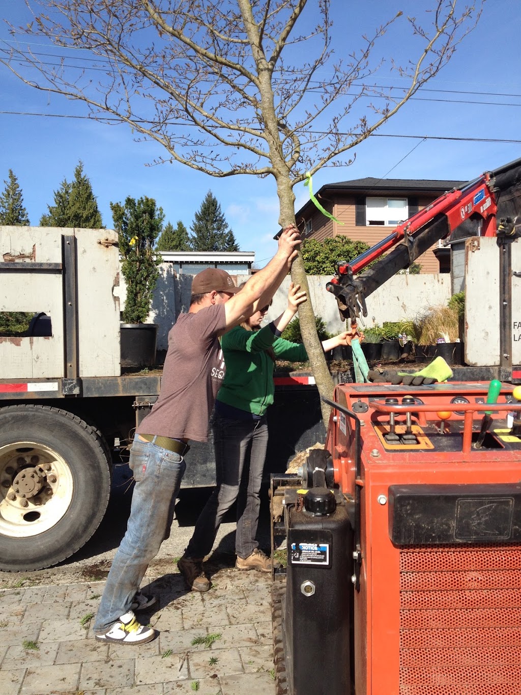 Sequoia Landscape Services | 3710 Edgemont Blvd, North Vancouver, BC V7R 2P7, Canada | Phone: (604) 782-4530