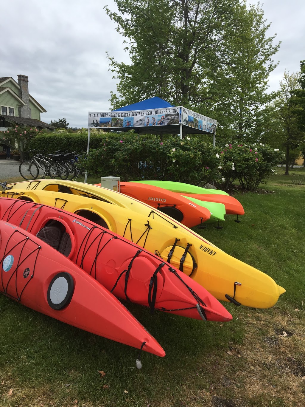 Edenwild Island Adventures | 132 Lopez Rd #2, Lopez Island, WA 98261, USA | Phone: (360) 421-8044