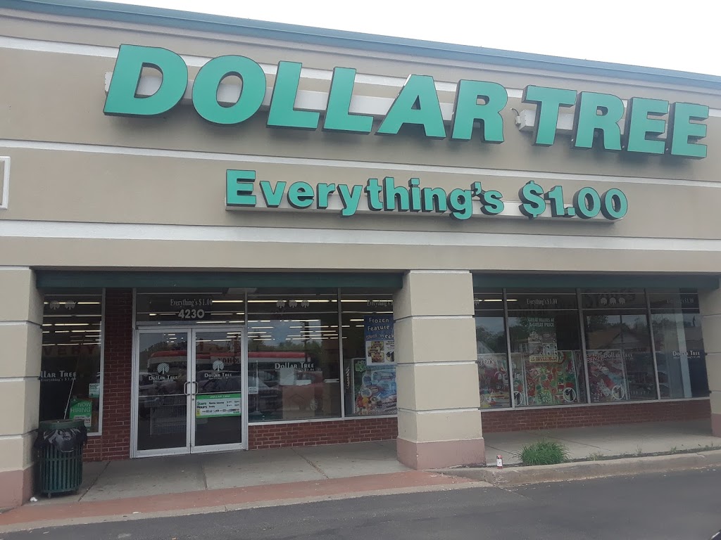 Dollar Tree | 4236 Delaware Ave, Tonawanda, NY 14150, USA | Phone: (716) 799-6038