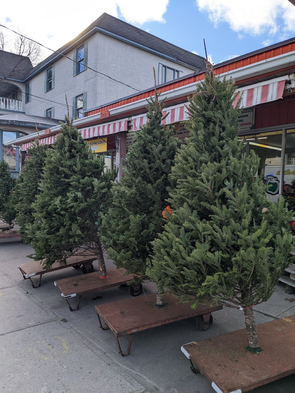 Delorme Fruits & Légumes | 3667 Rue Queen, Rawdon, QC J0K 1S0, Canada | Phone: (450) 834-6764