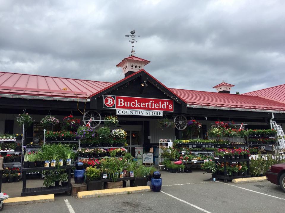 Buckerfields | 587 Alberni Hwy, Parksville, BC V9P 1J9, Canada | Phone: (250) 248-3243