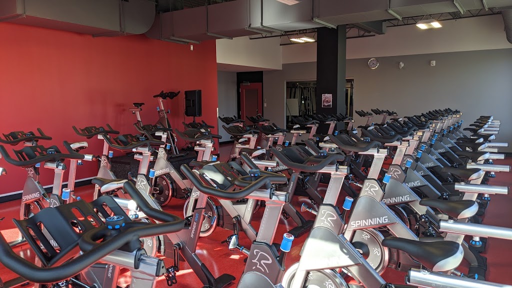 World Gym | 9200 Boulevard de lAcadie, Montréal, QC H4N 2T2, Canada | Phone: (438) 500-6500