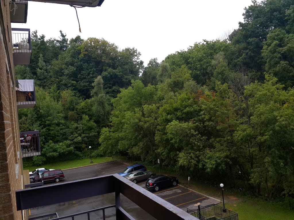 Ellesmere Ravine | 3000 Ellesmere Rd, Toronto, ON M1E, Canada | Phone: (416) 392-2489