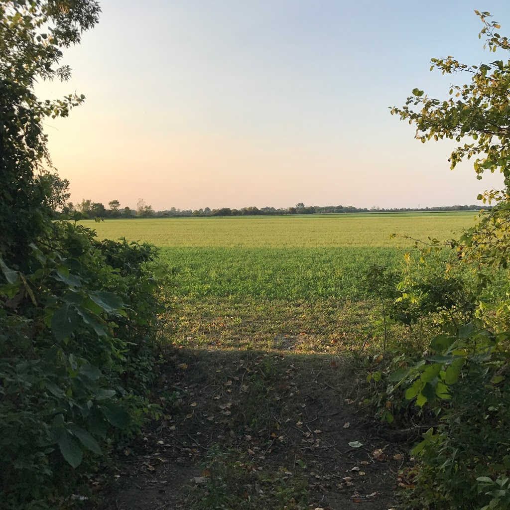 Windsor Campground | 4855 Concession Rd 9, Maidstone, ON N0R 1K0, Canada | Phone: (519) 735-3660