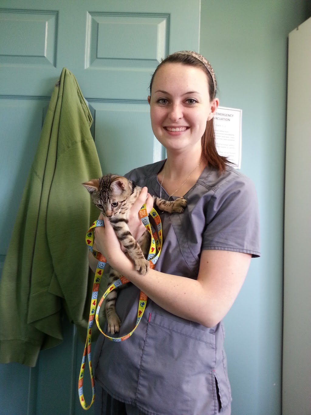 Colborne Veterinary Clinic | 2512 Hwy 24 N, Simcoe, ON N3Y 4K3, Canada | Phone: (519) 428-0721