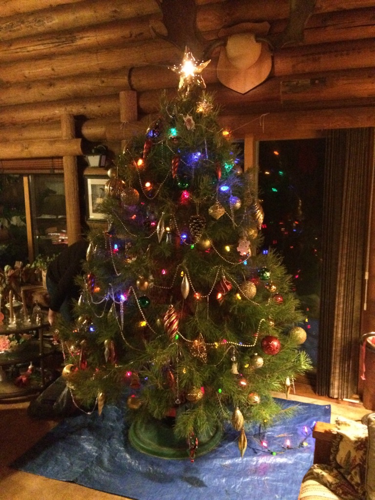 Hill Haven Christmas Trees | Jackson Lake Provincial Rd. 352 South East on Rural Rd. 59 North Gate number 58142 NE28, 10 12W, Sidney, MB R0H 1L0, Canada | Phone: (204) 466-2654