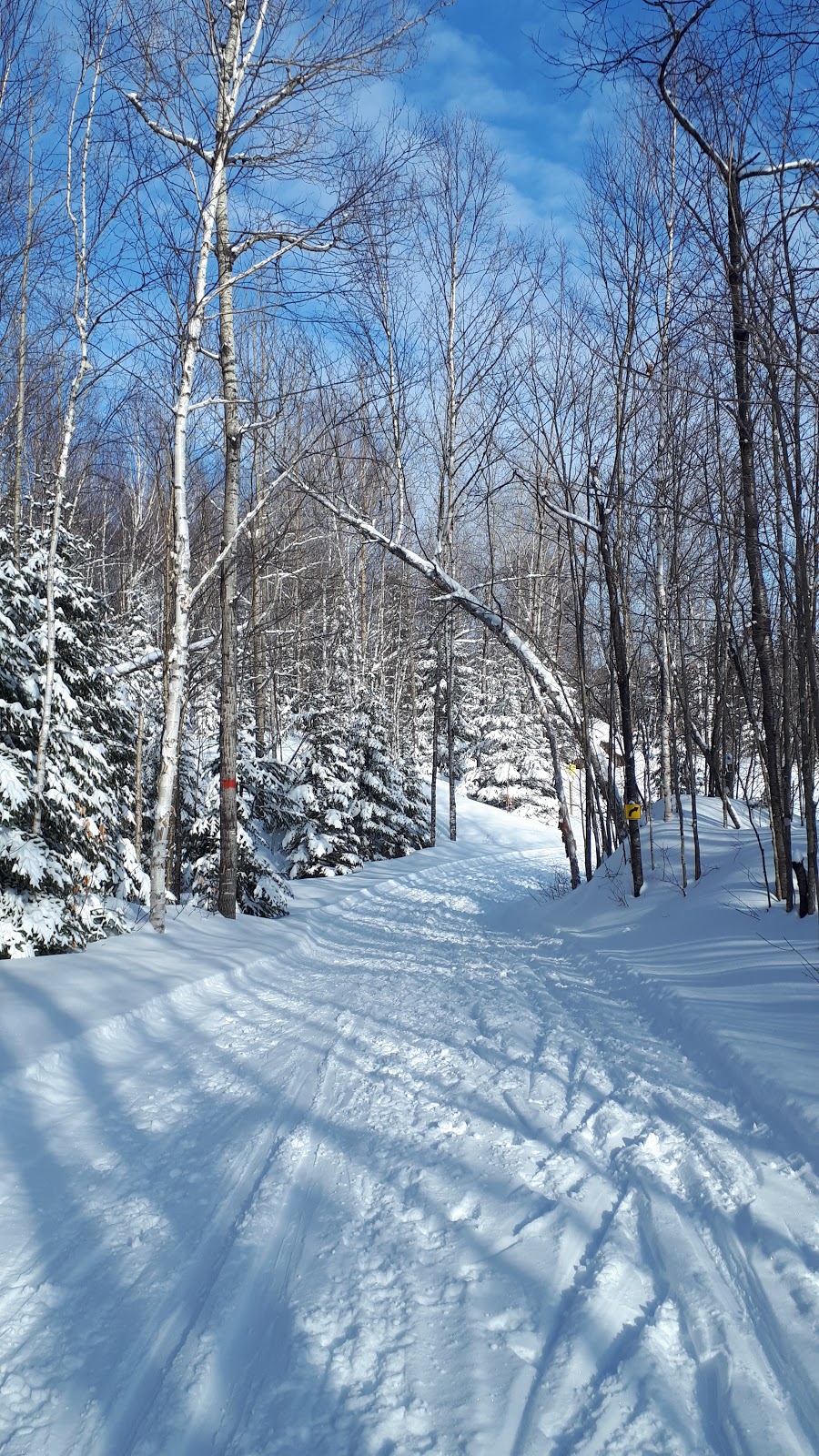 Parc des Campeurs de Ste-Agathe des Monts | 2 Chemin du Lac des Sables, Sainte-Agathe-des-Monts, QC J8C 2Z7, Canada | Phone: (819) 324-0482