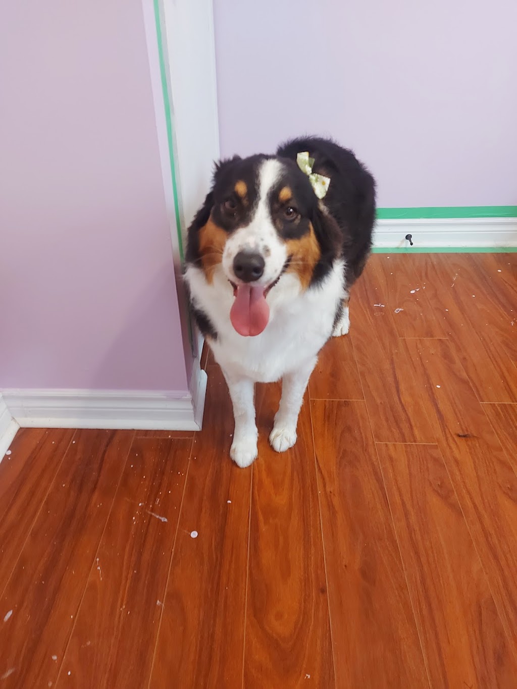 Tys Furtique | 8 Maple Dr, Shearwater, NS B3G 1A0, Canada | Phone: (902) 719-2374