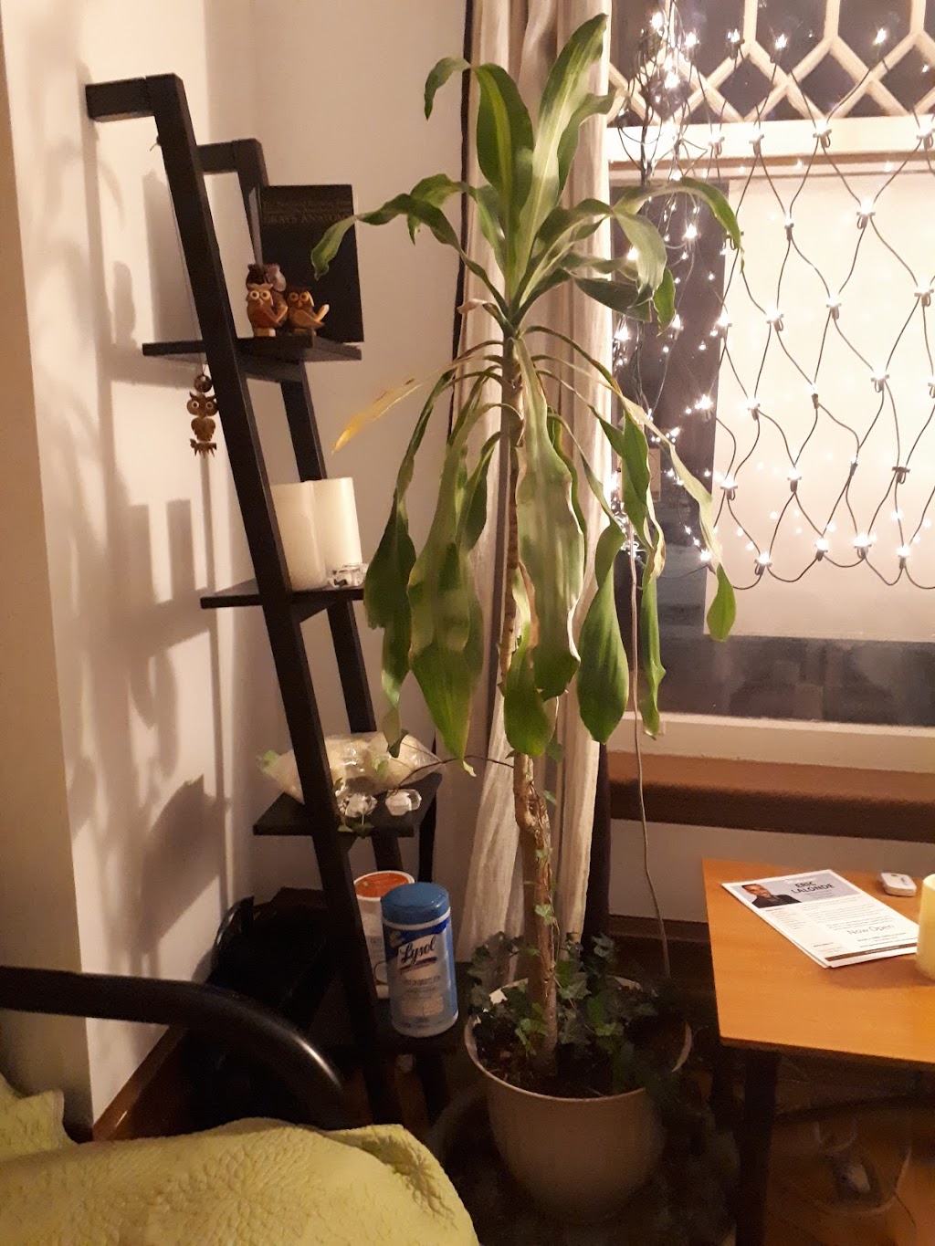 Elements Massage Therapy, RMT | 641 MacLaren St, Ottawa, ON K1R 5L1, Canada | Phone: (613) 676-1255